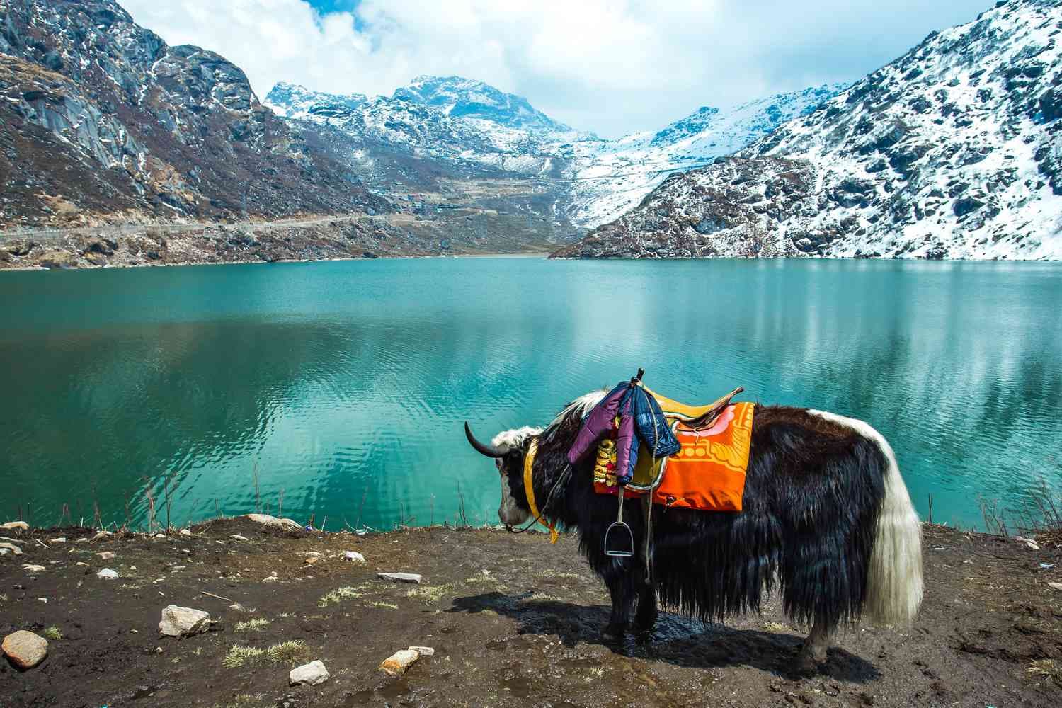 Gangtok Travel Guide: Unveiling Exotic Charms with ExoticYatra in the Himalayas