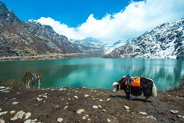 Sikkim tour packages – Snow peaks, monasteries & alpine lakes